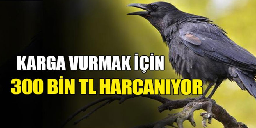 İçişleri Bakanlığı 300 bin TL’lik fişek ihalesine çıktı!