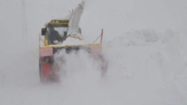 PKK'lı terörist, Giresun'da iş makinesi operatörüne teslim oldu