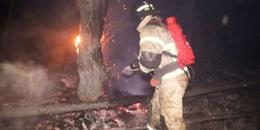 Rusya'da orman yangınları devam ediyor