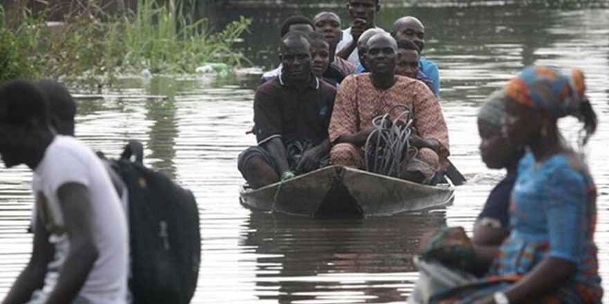 Nijer'de seller 44 can aldı