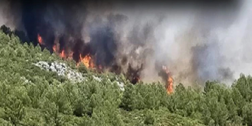 Alevkayası’ndaki yangın söndürüldü