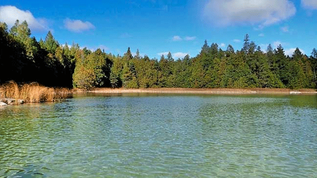 Barajlarda ancak hayvanların ve kalıcı bitkilerin sulanmasına yetecek kadar su var