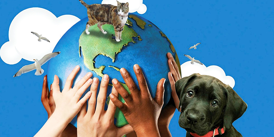 Hayvanları öldürenlere 8 yıl hapis cezası!