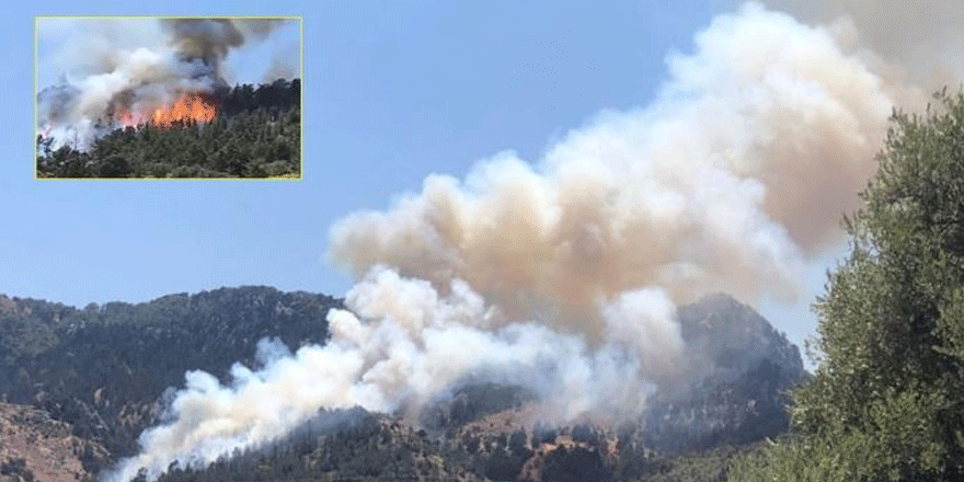 Bir haftada 19 yangın!