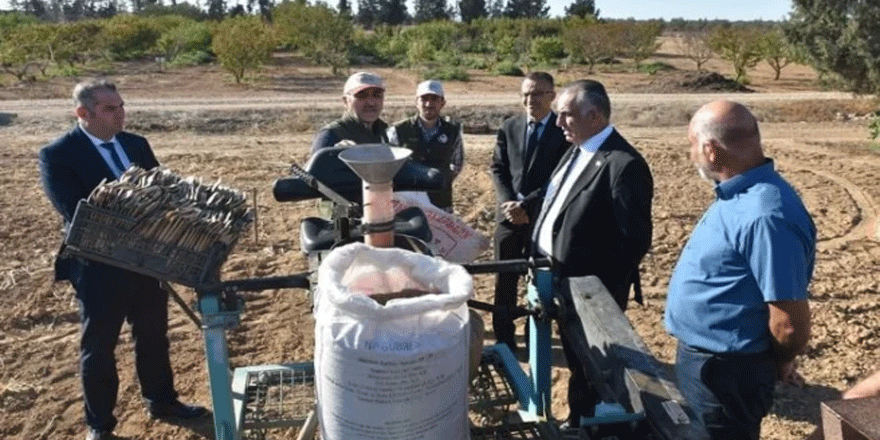 ‘Beşparmak’ arpa çeşidinin tohumunu çoğaltmak için ekimlere başlandı