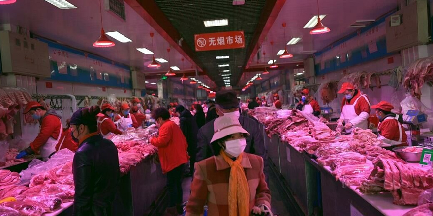 Çin'in vahşi hayvan pazarlarında pandemiye yol açabilecek 18 virüs daha var