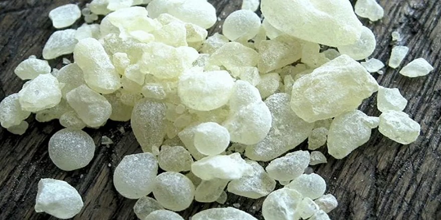 Damla sakızının kilosu 3 bin 500 lira oldu: 'Gram gram alıyorlar'