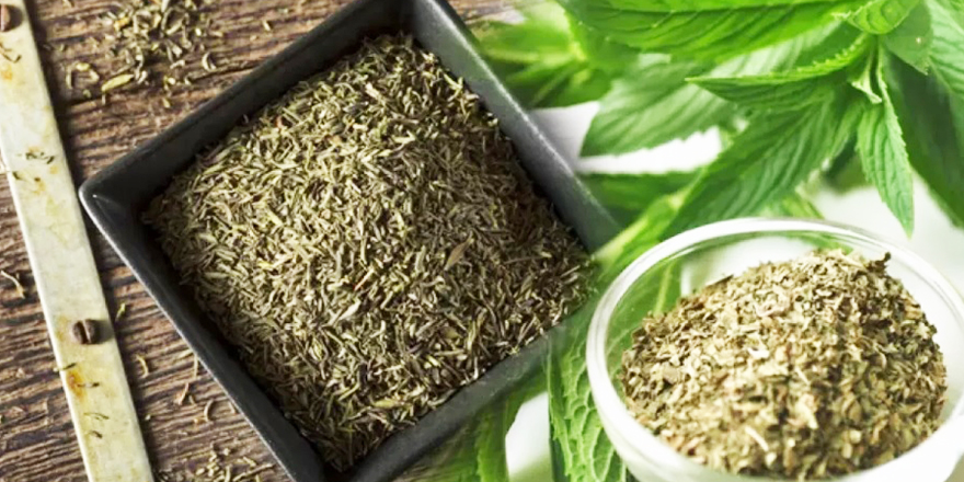 Kıbrıs kekik türleri ekonomiye kazandırılacak