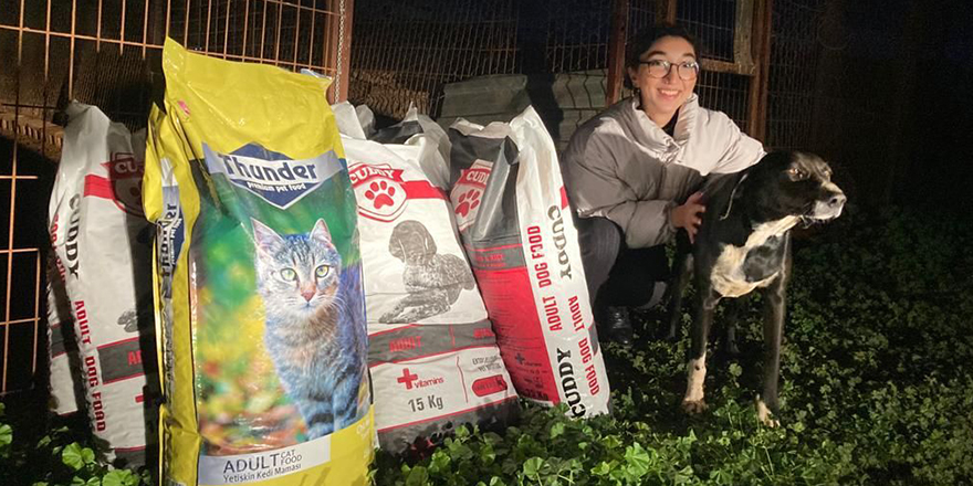 LAÜ öğrencilerinden sokak hayvanları için anlamlı proje