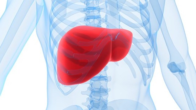Karaciğeri tertemiz yapan kür