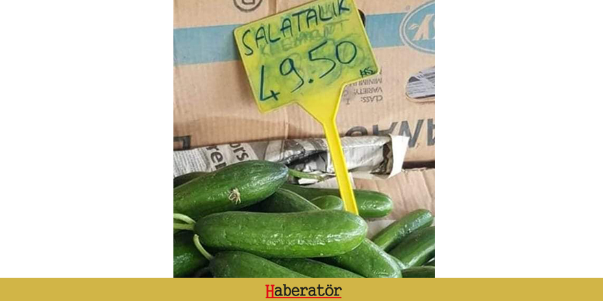 Salatalığın kilosu 49,50 TL