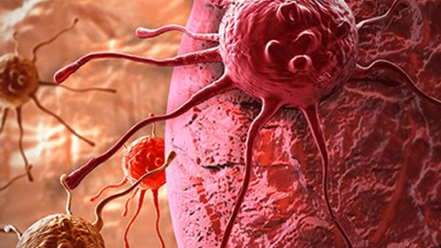 Kanserle mücadelede immünolojik yöntemler ön planda