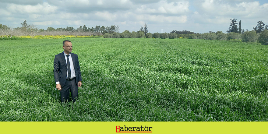 Karaca: "Bu yıl 200 ton hasat bekliyoruz"
