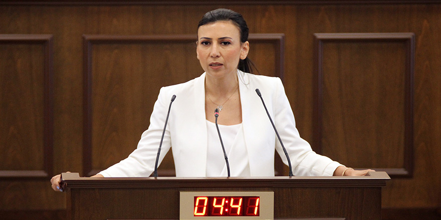 CTP'nin Meclis Başkan Yardımcısı adayı Fazilet Özdenefe olacak