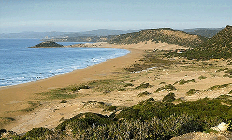 UBP ile DP doğa katili