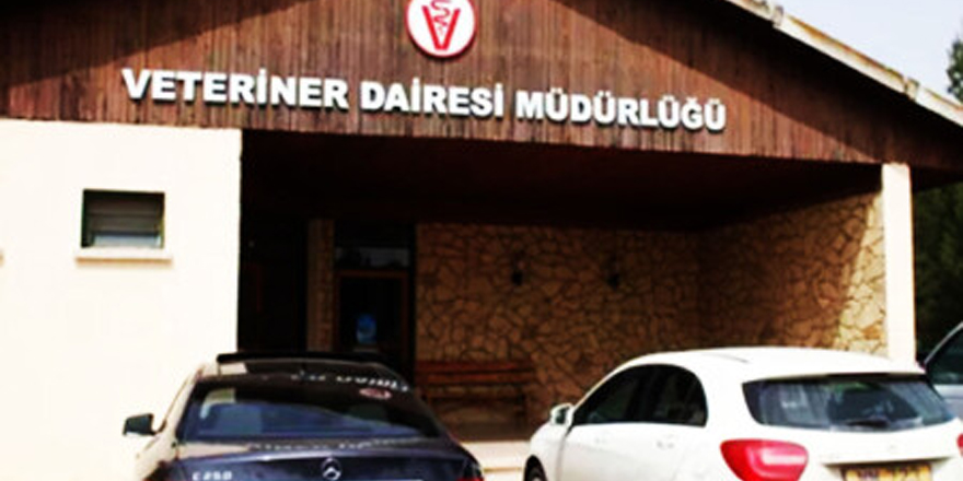 Tek tırnaklı at cinsi hayvanların kayıtlanması faaliyetlerine 1 Nisan’dan itibaren başlanacak