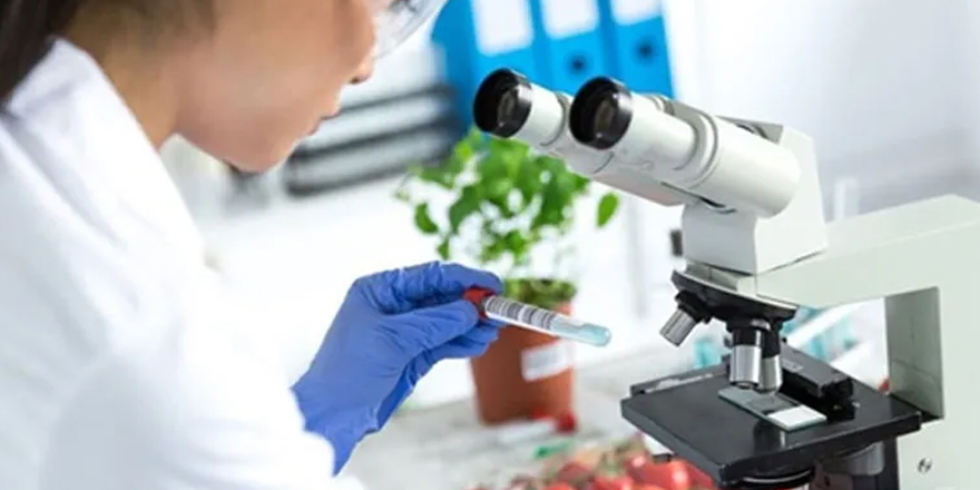 Gıda denetimleri temiz çıktı