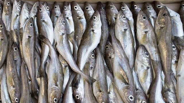 Faydası olduğu kadar zararı olan besinler