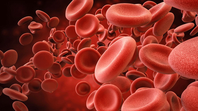 Kansızlığı önleyen 5 faktör