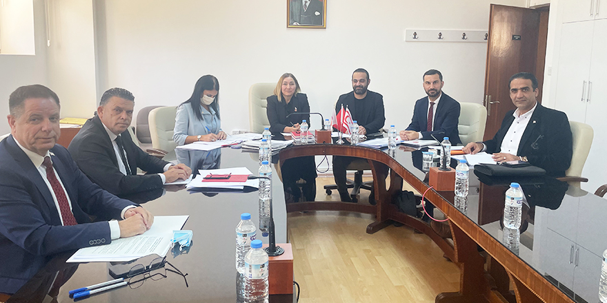 Yurttaşlık (Değişiklik) yasa önerisi komiteden geçti