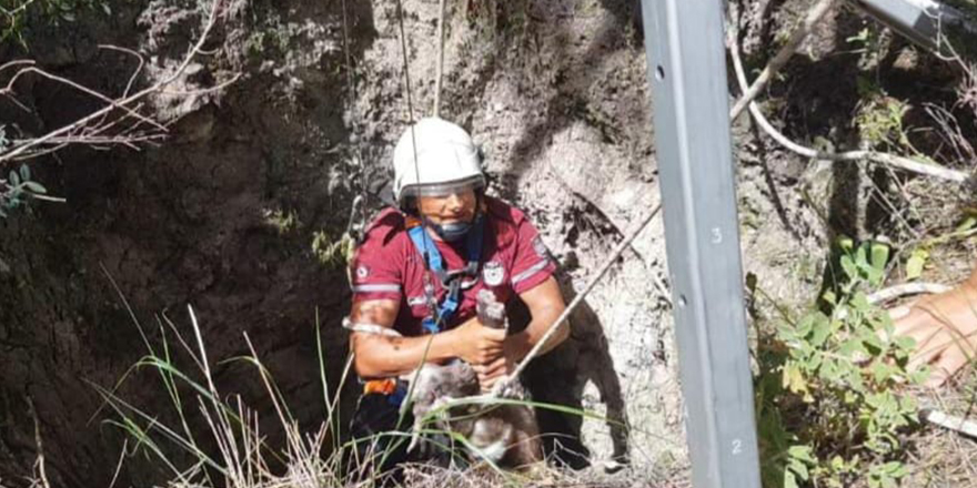 12 metre derinlikteki kuyuya düşen oğlak, kurtarıldı