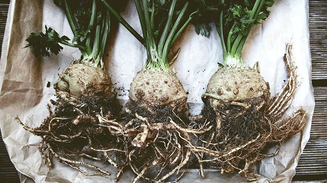 Kereviz depresyona iyi geliyor