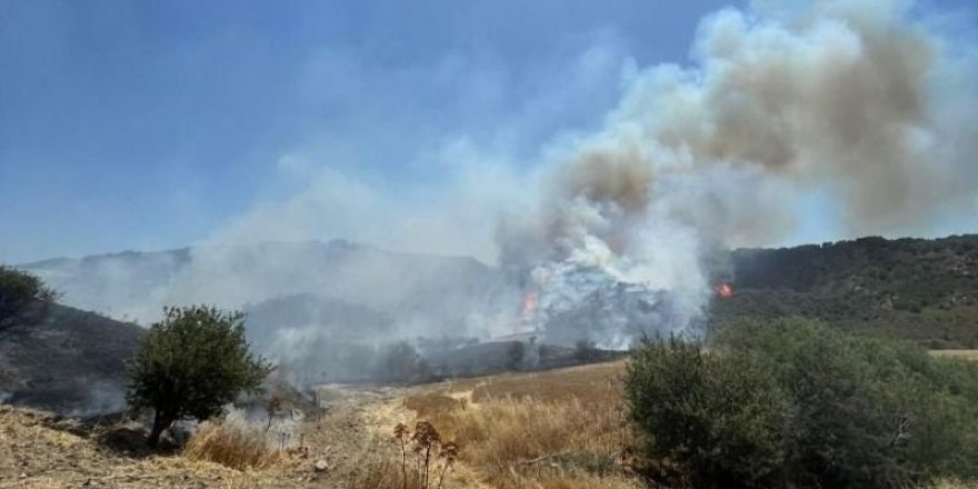 Bir yangın da Kantara'da çıktı