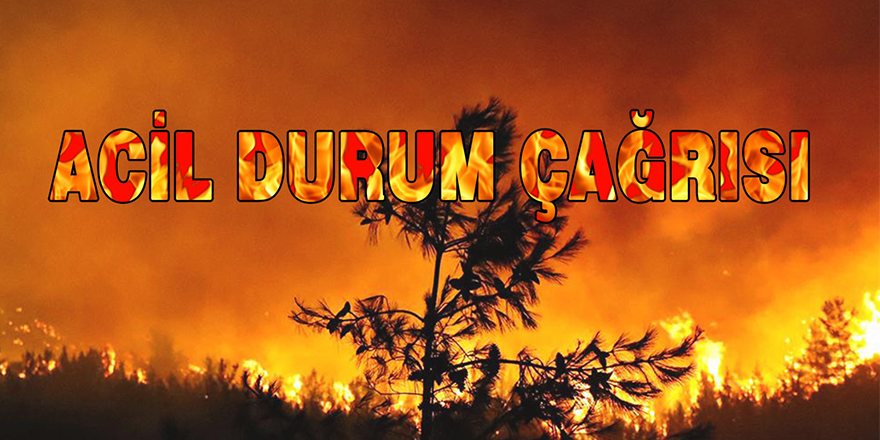 Acil Durum Çağrısı!