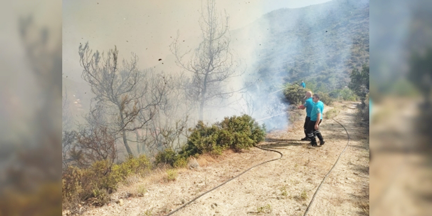 Oğuz: Yangın Beşparmaklara doğru ilerliyor