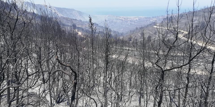 Orman yakmanın bedeli 100 asgari ücret ve 15 yıl hapis cezası…