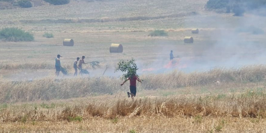 Vatandaşlar ellerine dalları alıp yangına müdahale etti