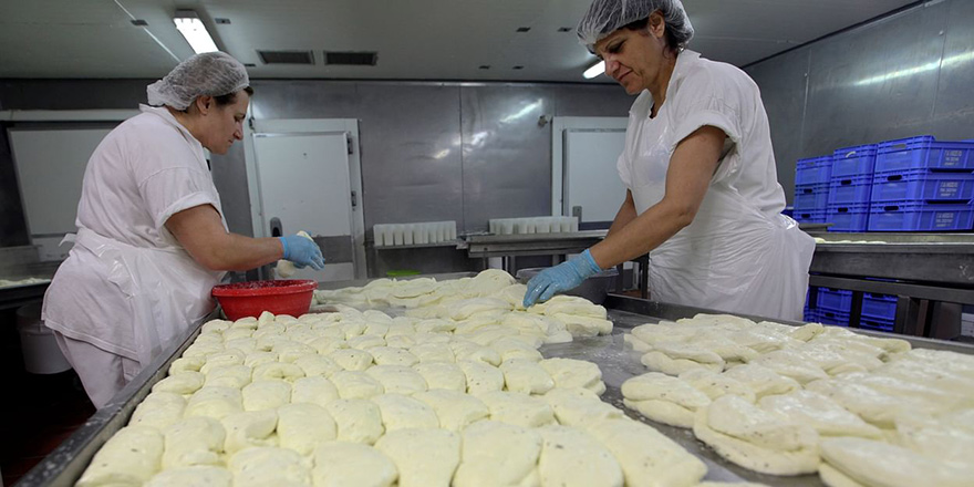 “MİK'e uygun olarak günde 10 ton hellim üretilebiliriz”