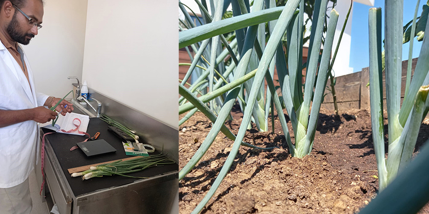 Yakın Doğu Üniversitesi Ziraat Fakültesi, araştırma projesi başlattı