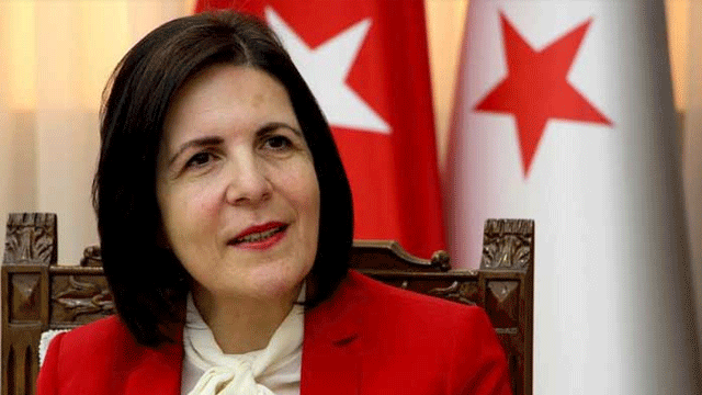 Siber: “Yasa, meclis başkanlığı’na iki mal bildirimi arasında karşılaştırma yetkisi veriyor”