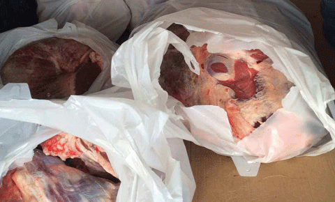 900 kilo kaçak et yakalandı!