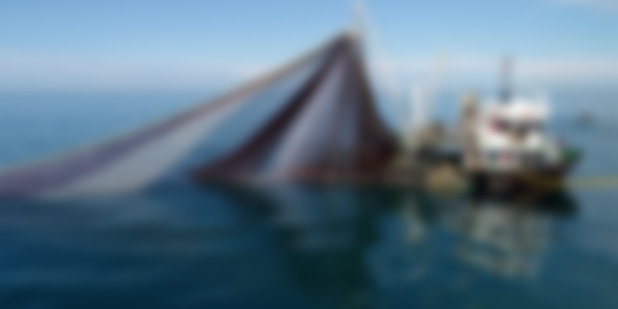 Tekneyle izinsiz denize ağ attılar