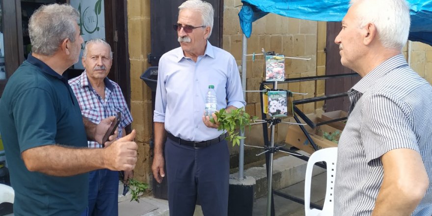 Güzelyurt çarşısını canlandırmanın tam zamanı şimdi!