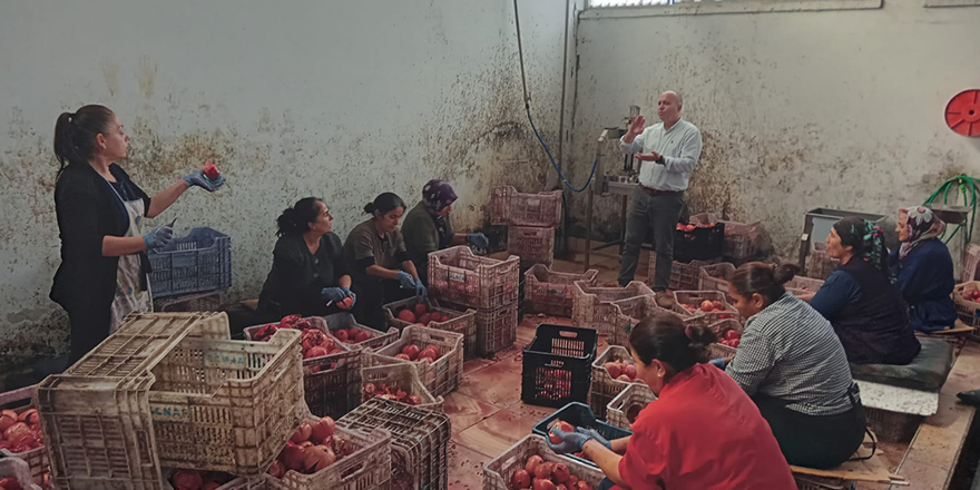 Kansoy: "Belediye tarıma öncülük edecek"