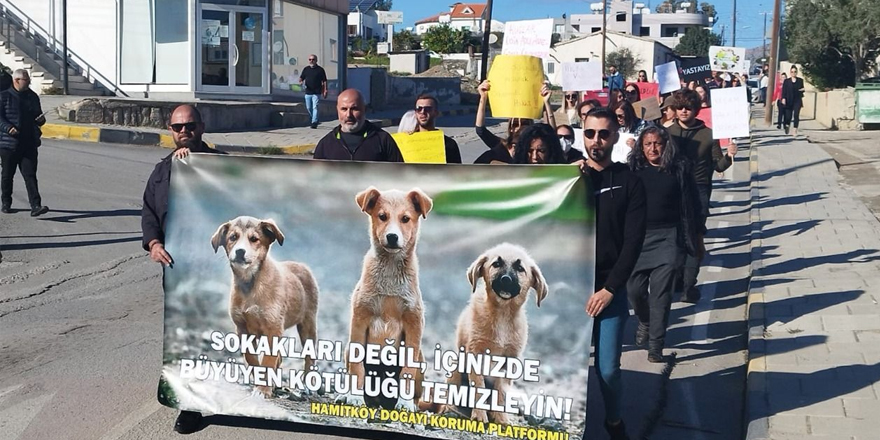 Hamitköy'de hayvanseverler, eylem yaptı
