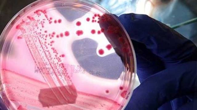 2017’nin dünyayı değiştirecek 10 bilimsel buluşu