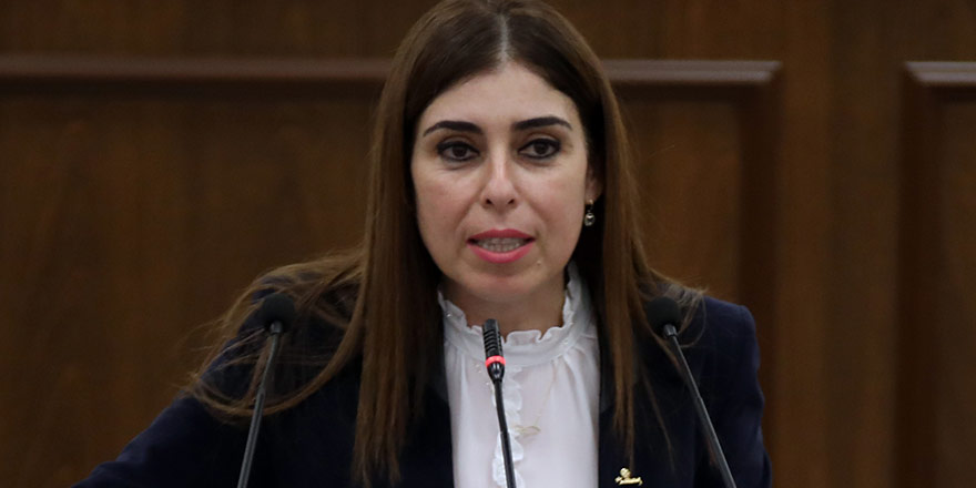 "Ercan'da ambulans bulundurma zorunluluğu özel şirkete ait"