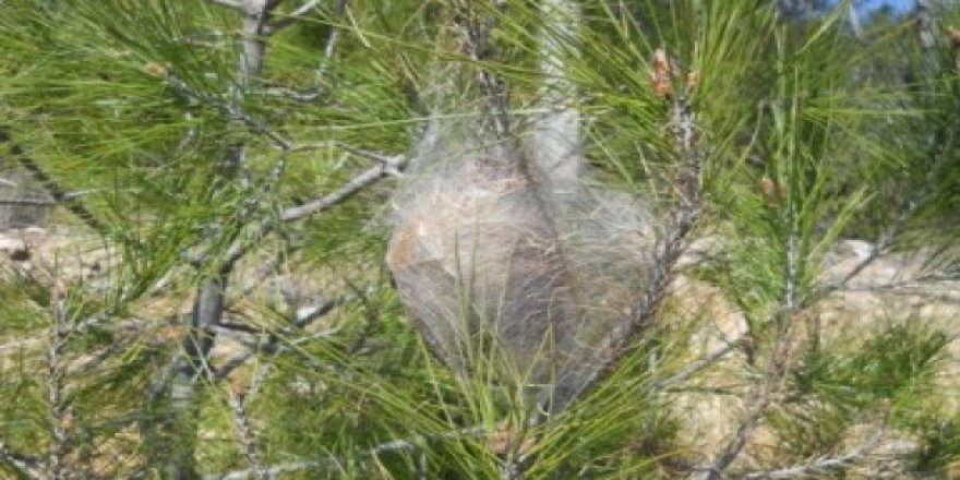 ''Büyük tahribat yaşanacak''