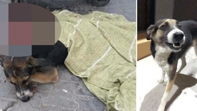 'Bunun adı cinayet!'