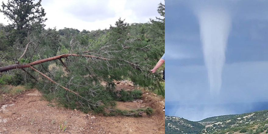 Hortum karpaz'da zarara yol açtı