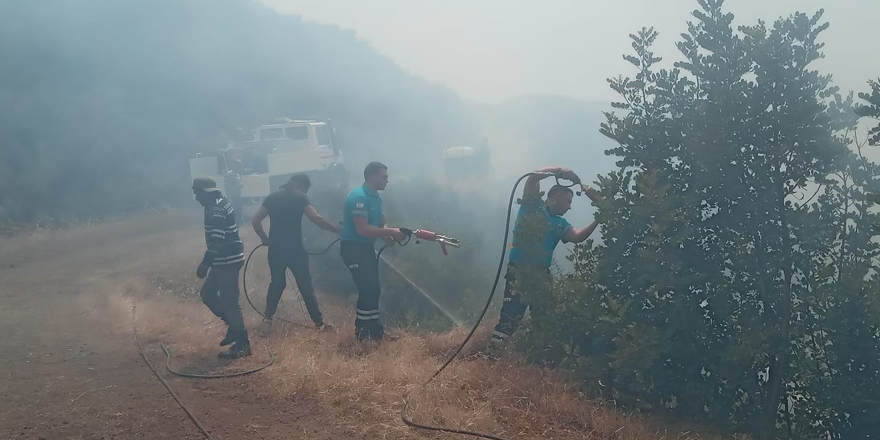 Yeşilırmak yangınının çıkış sebebi belli oldu.