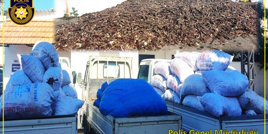 3.650 kilo harnup çaldılar