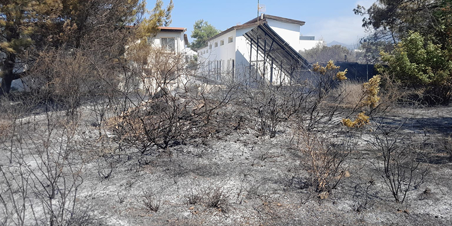 5 dönümlük arazi yandı