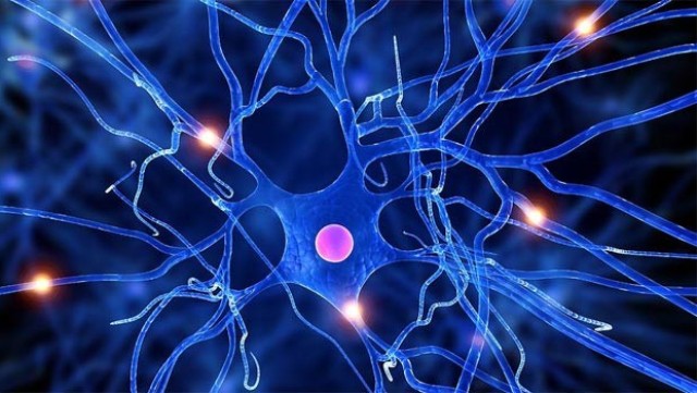 “Sinir Transferi” beyin felci hastaları için umut oldu