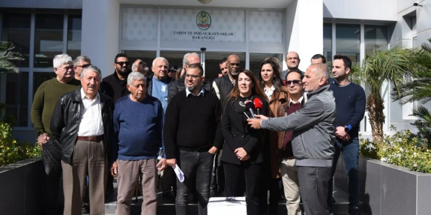 Çam kese böceklerini bakanlık kapısına döktüler