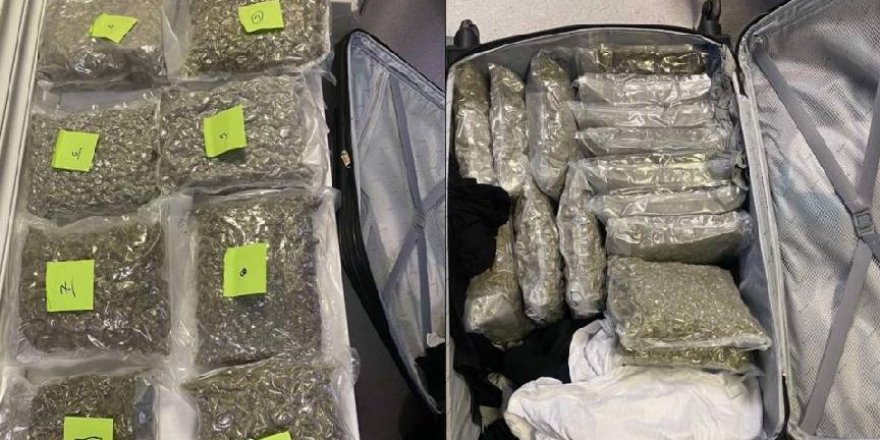 Sahipsiz valizde yaklaşık 17 kilo uyuşturucu tespit edildi